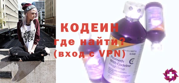 мдпв Вяземский