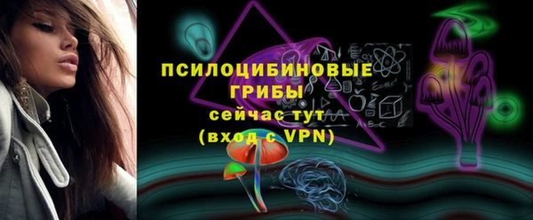 бошки Горнозаводск
