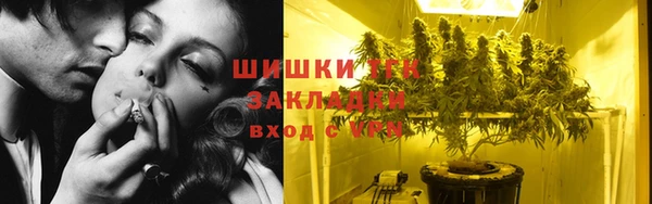 мдпв Вяземский