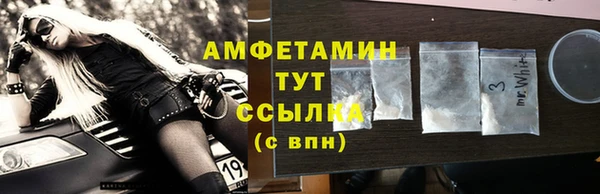 мдпв Вяземский