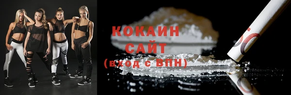 прущие крисы Горняк