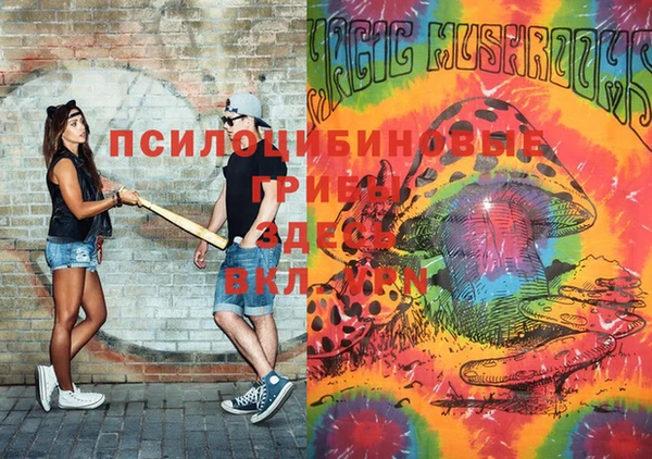 2c-b Вязьма