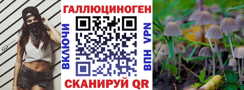 Купить где  Ивантеевка  Галлюциногенные грибы Cubensis 